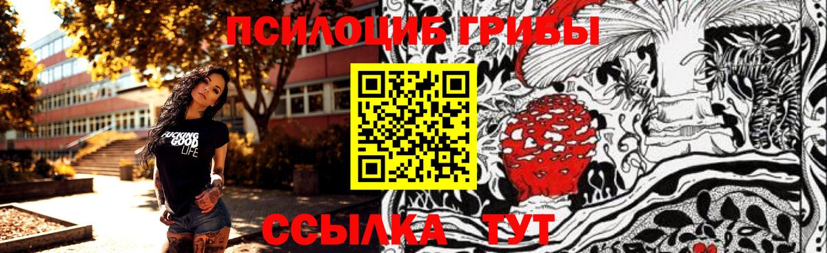 Галлюциногенные грибы Cubensis  Вход с VPN  Сургут 